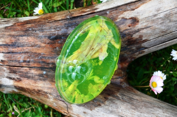 frosch_shop