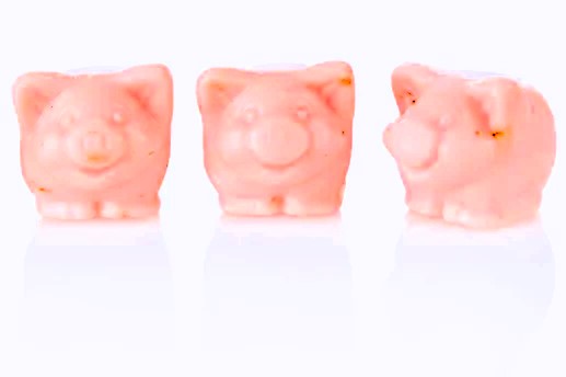 Glücksschweinchen mit Schafmilch Glücksschweinchen mit Schafmilch