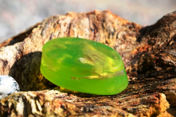 frosch_frontal_shop Froschkönig mit Mangoduft Vegan